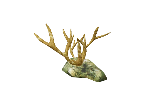 prop_coral_01