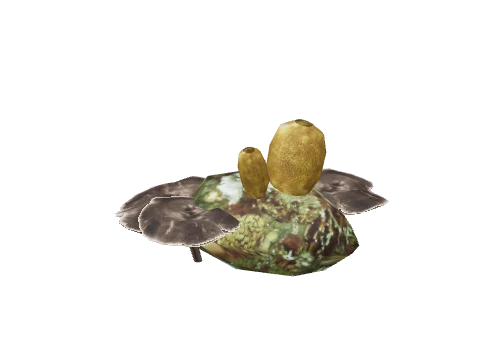 prop_coral_03