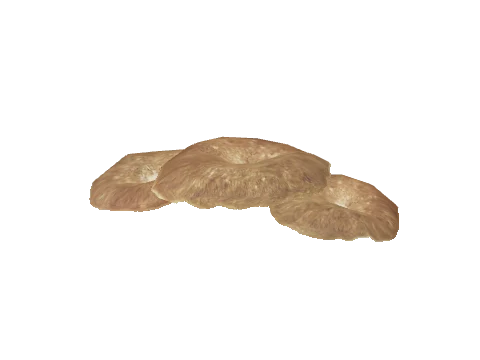 prop_coral_flat_02