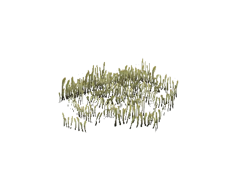 prop_coral_grass_01