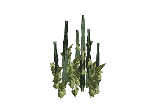 prop_coral_kelp_02