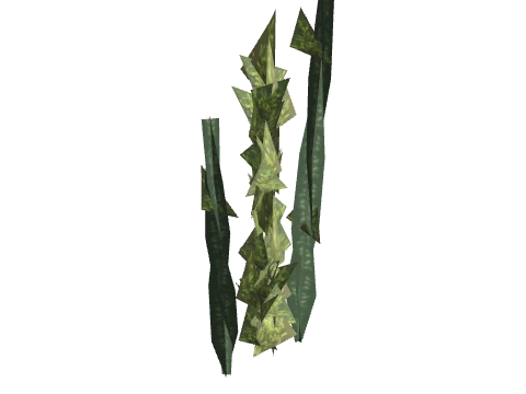 prop_coral_kelp_03