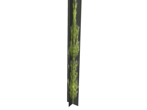 prop_coral_kelp_03_l1
