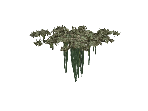 prop_coral_kelp_03a