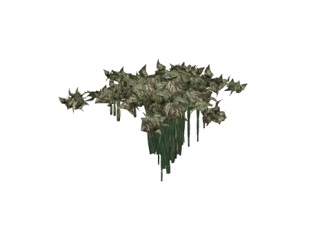 prop_coral_kelp_03b