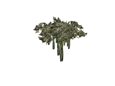 prop_coral_kelp_03c