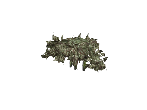 prop_coral_kelp_03d