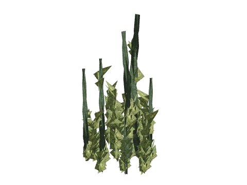 prop_coral_kelp_04