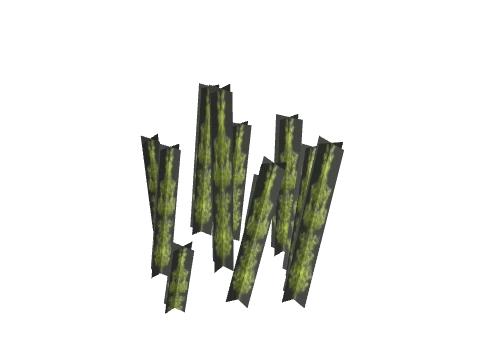 prop_coral_kelp_04_l1