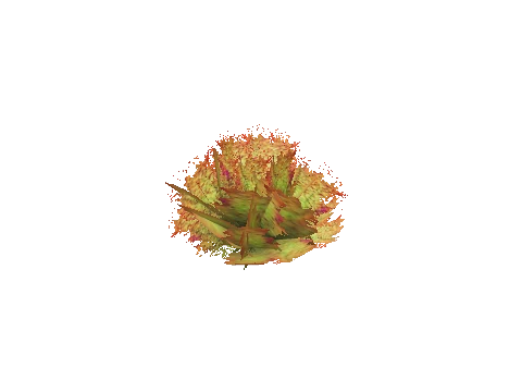 prop_coral_sweed_03