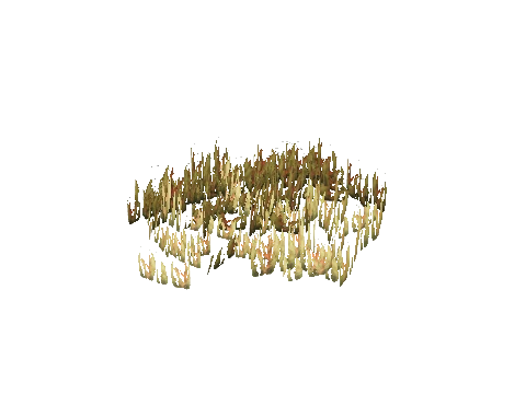 prop_coral_sweed_04