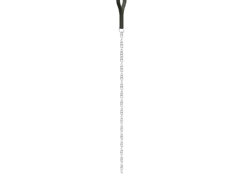 prop_cs_dog_lead_a