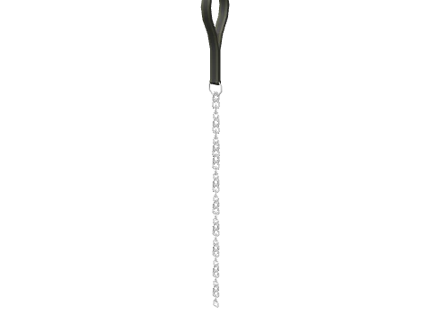 prop_cs_dog_lead_a_s