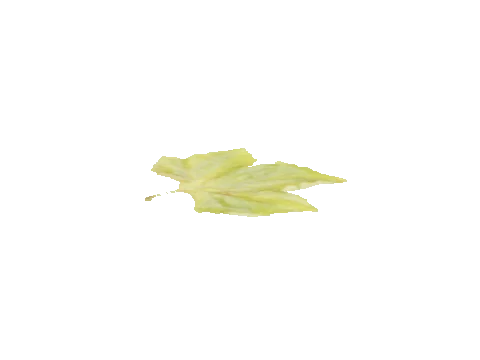 prop_cs_leaf