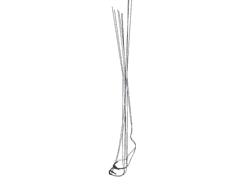 prop_cs_para_ropes