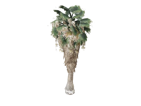 prop_fan_palm_01a
