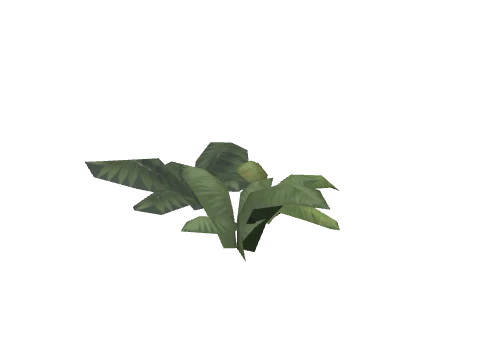 prop_fernba