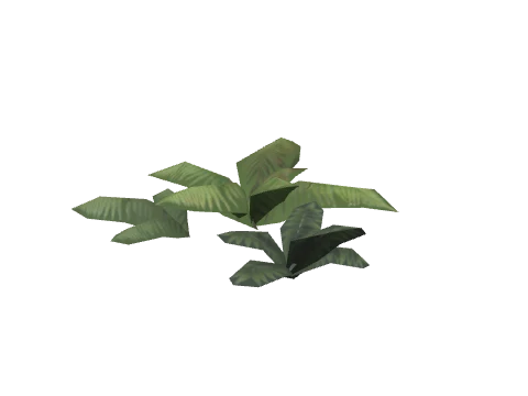prop_fernbb