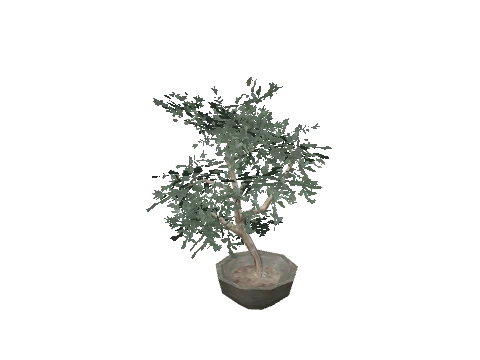 prop_fib_plant_01
