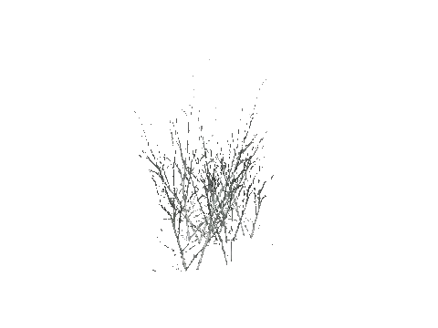 prop_grass_dry_02