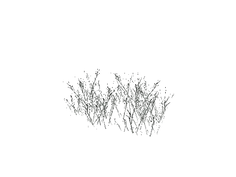 prop_grass_dry_03