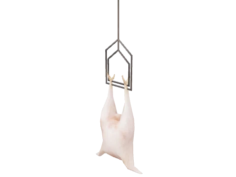 prop_int_cf_chick_02
