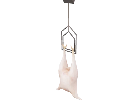 prop_int_cf_chick_03