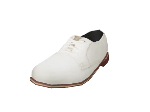 prop_ld_shoe_02