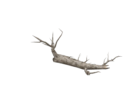 prop_log_break_01