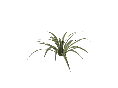 prop_p_spider_01a