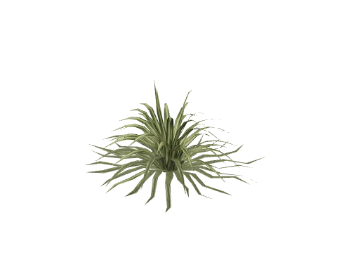 prop_p_spider_01c