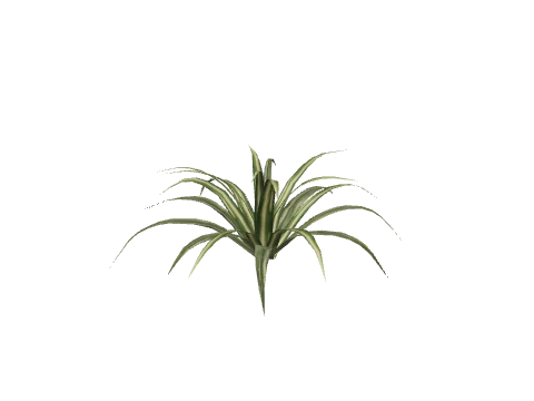 prop_p_spider_01d