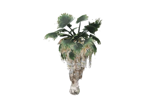 prop_palm_fan_02_a