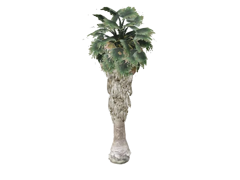 prop_palm_fan_02_b