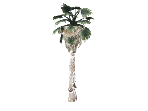 prop_palm_fan_03_a