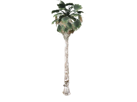 prop_palm_fan_03_b