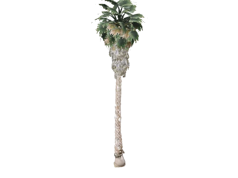 prop_palm_fan_03_c