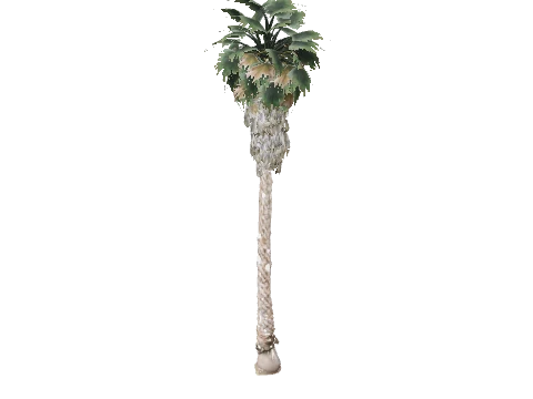 prop_palm_fan_03_c_graff