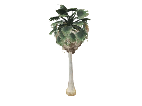 prop_palm_fan_04_b