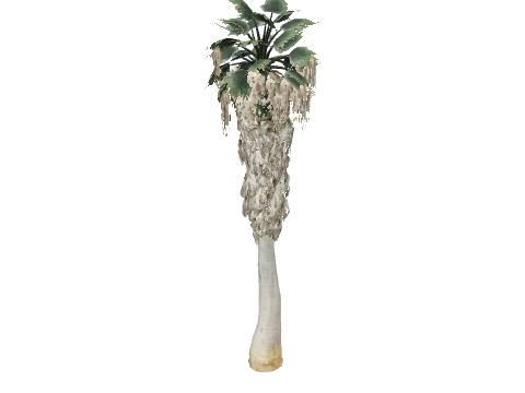 prop_palm_fan_04_c