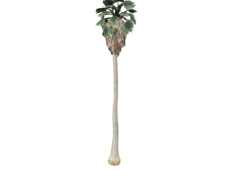 prop_palm_fan_04_d
