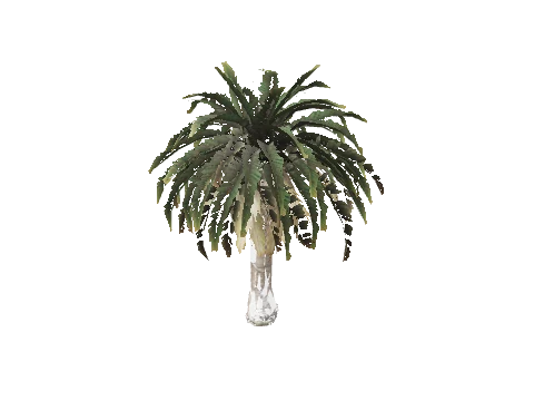 prop_palm_sm_01a