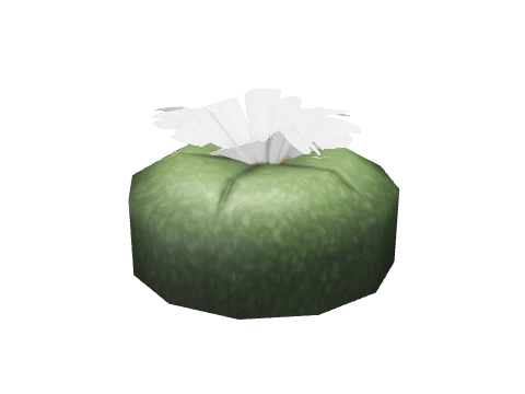 prop_peyote_highland_01