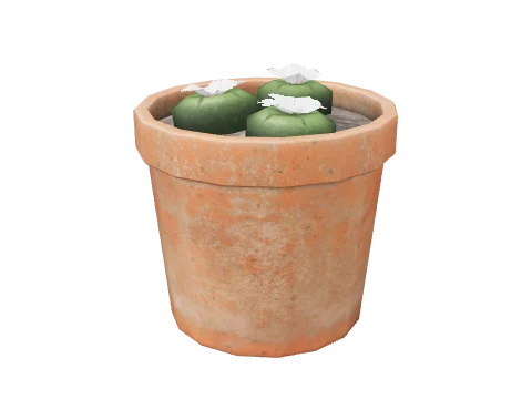 prop_peyote_highland_02