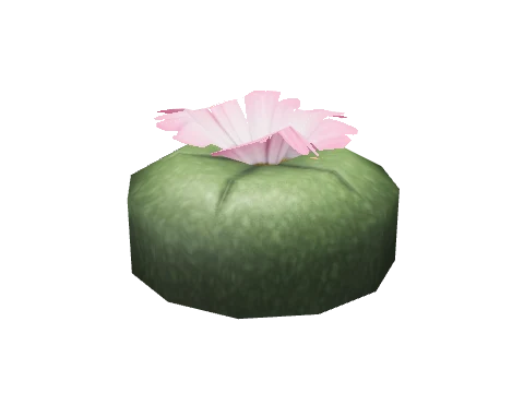 prop_peyote_lowland_01