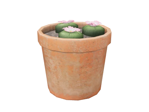 prop_peyote_lowland_02