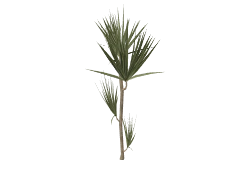 prop_plant_01a