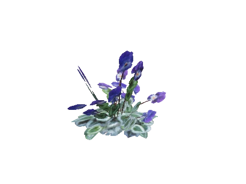prop_plant_01b