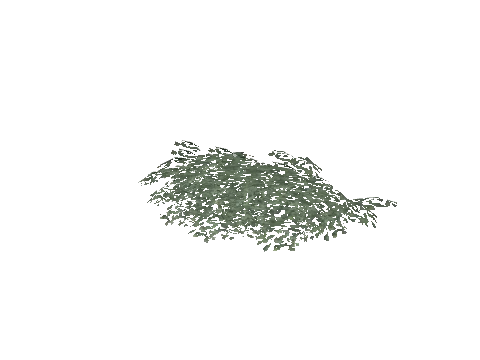 prop_plant_base_02