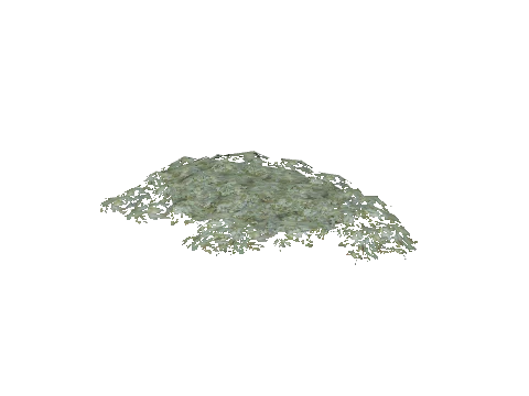 prop_plant_base_03